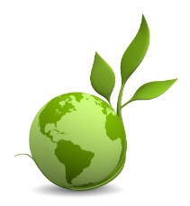 Eco-friendly products